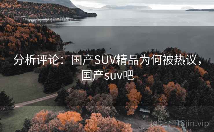 分析评论：国产SUV精品为何被热议，国产suv吧